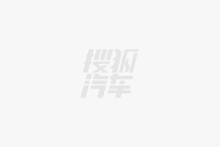 感！东风风神L8真实力打脸杨子尊龙AG人生就是博百万级舒适(图2)