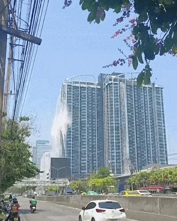顶流：批量下海遗弃粉丝尊龙凯时新版APP内娱